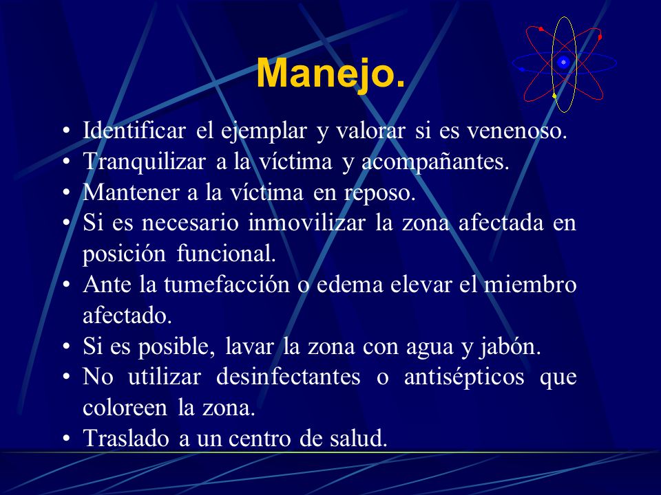 La cabeza del miembro en pequeño treschinkah que esto